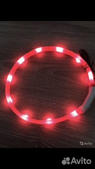 Зоотовары новые