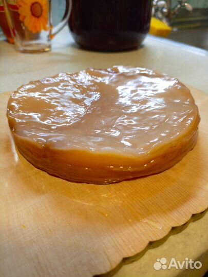 Чайный гриб