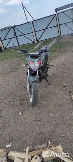 Рейсер нитро 250