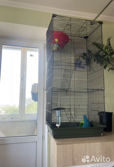 Большая клетка для грызунов