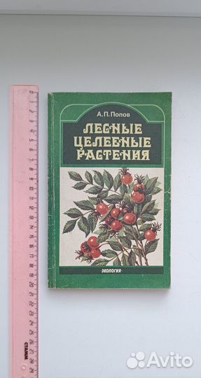 Книга Лесные целебные растения