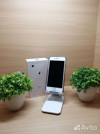 iPhone 8, 64 ГБ