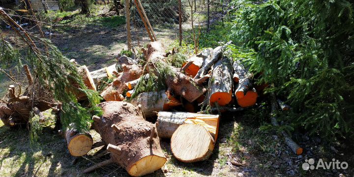 Дрова бесплатно