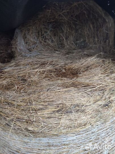 Сено в тюках