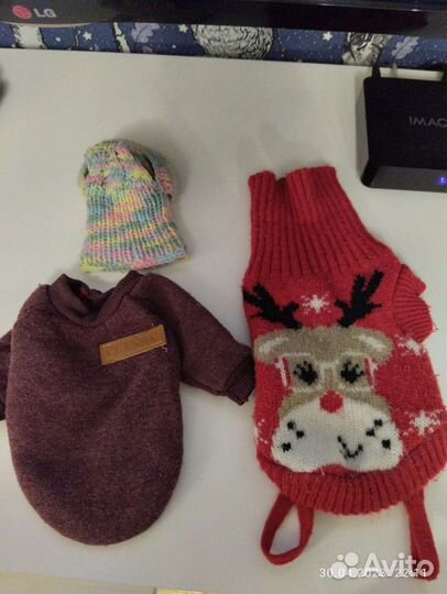 Одежда для маленьких собак