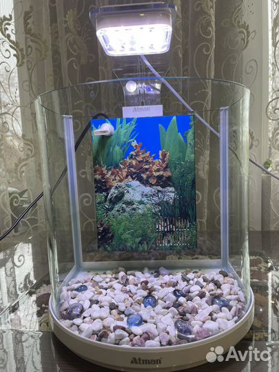 Аквариум