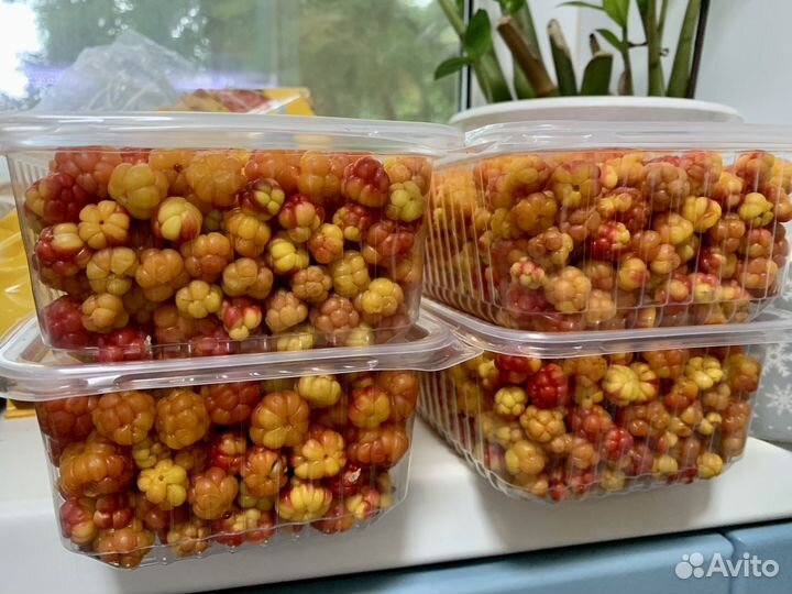 Морошка свежая