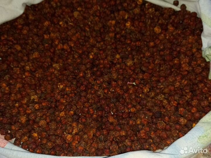 Боярышник сухой, вишня,черемуха красная