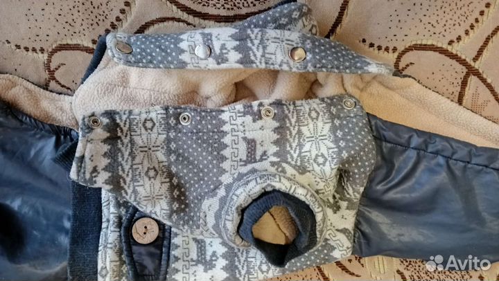 Костюм для собаки