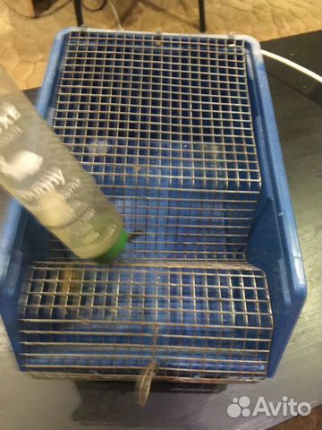 Клетка для грызуна