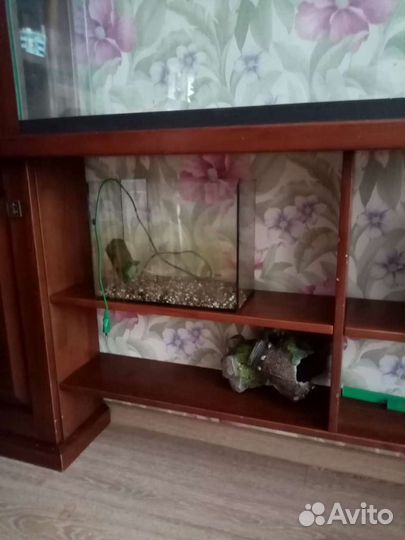 Тумба и аквариумы