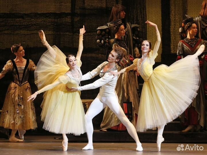 Билеты на Лебединое озеро. Большой театр