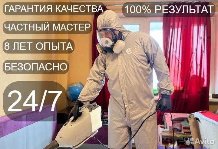 Дезинсекция