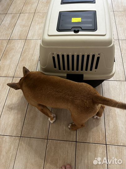 Переноска для средних собак