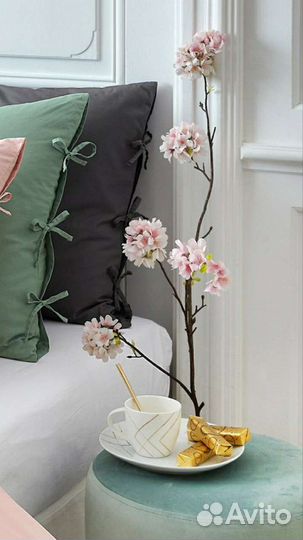 Кофейные кружки, Испания