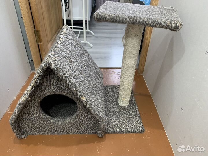 Когтеточка домик для кошки бесплатно б/у