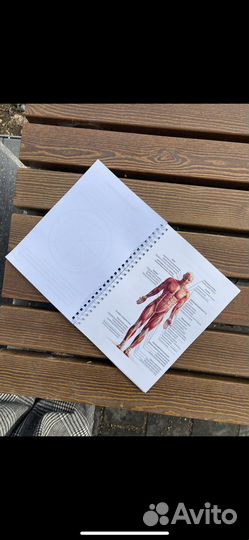 Дневник тренировок