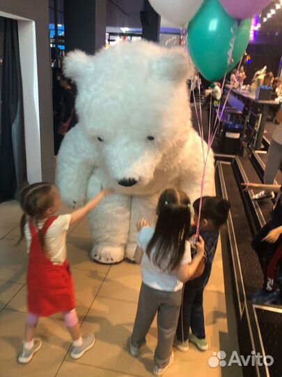 Белый мишка на поздравление