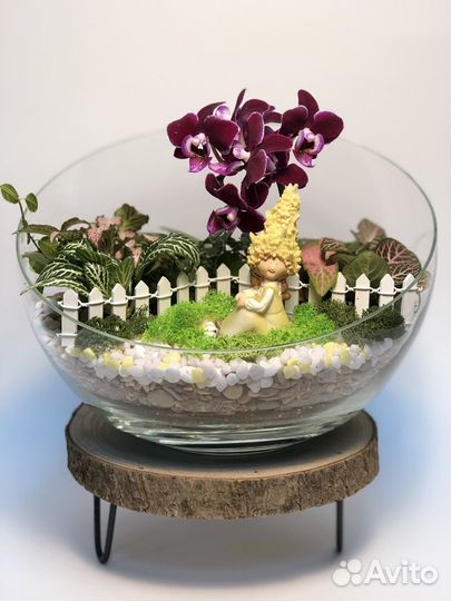 Флорариум, оригинальный подарок, микромир