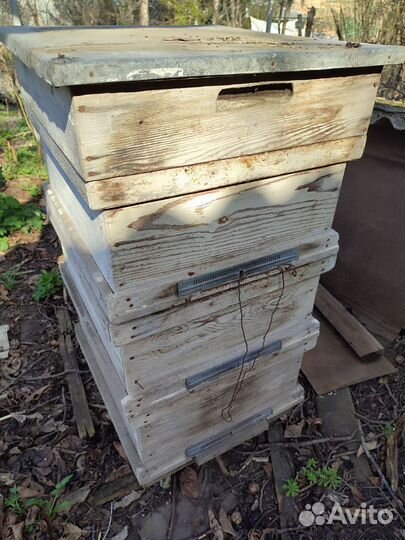 Улей для пчел бу