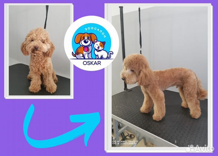 Груминг/стрижка/вычёсывание/купание кошек и собак