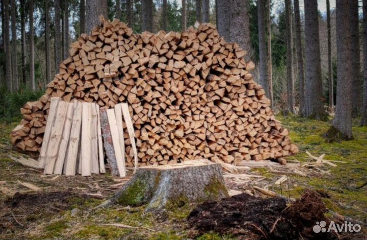 Дрова дубовые