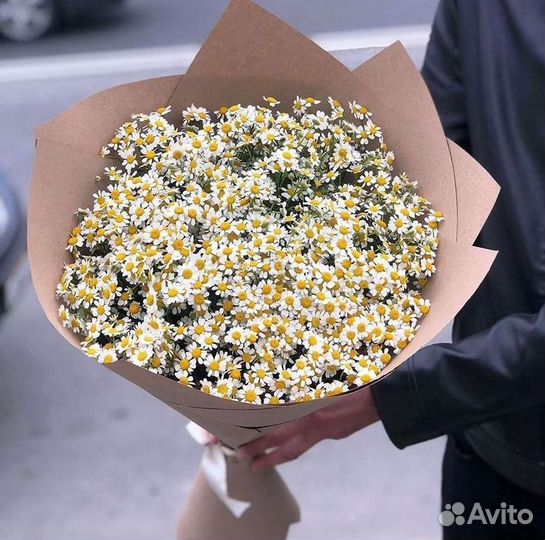 Доставка цветов. Ромашки