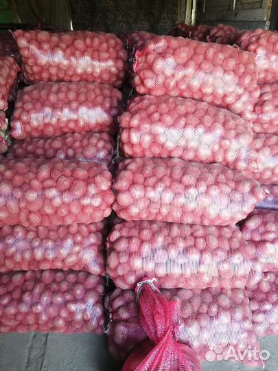 Продам картофель