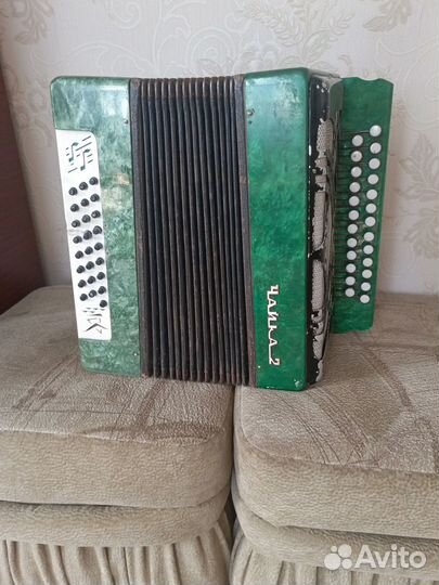 Гармонь Чайка 2