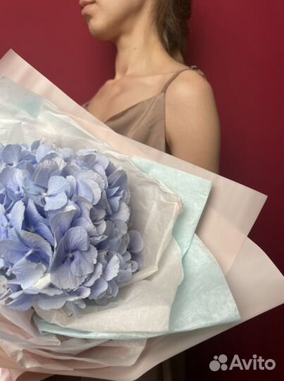 Букет «Моно из гортензии»