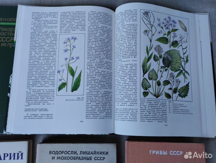 Книги о лекарственных растениях, грибах