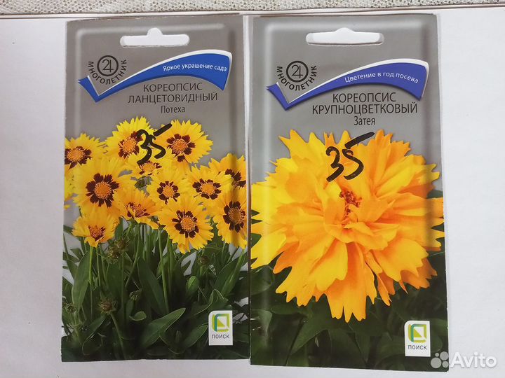 Семена кореопсис