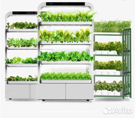 Гидропонная установка для выращивания зелени