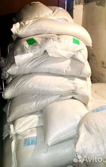 Белый клевер Ривендел (микро)