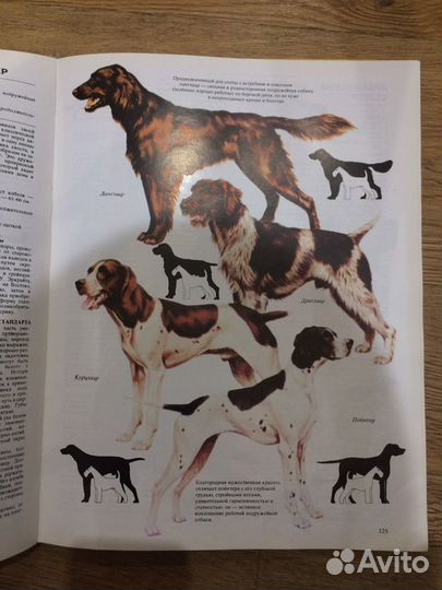 Книга о собаках