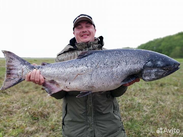 Рыбалка на Камчатке речная, морская, круглый год