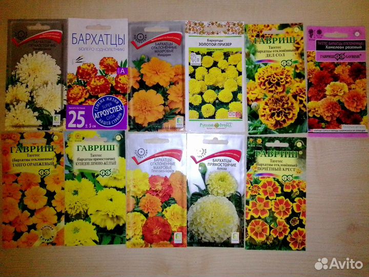 Цветы бархатцы семена