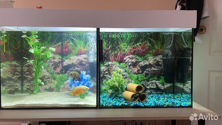 Аквариум