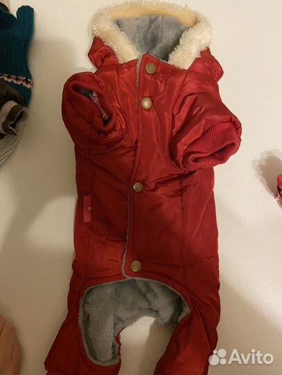 Комбинезон для собаки девочки