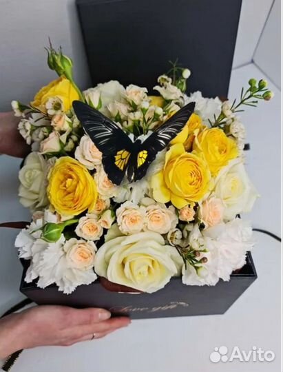 Композиция с живыми бабочками