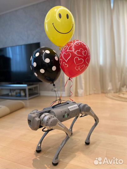 Аренда робособаки