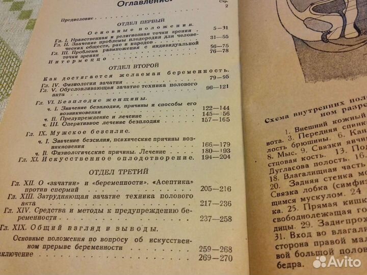 Т. Г. Ван де Вальдо, Плодовитость в браке