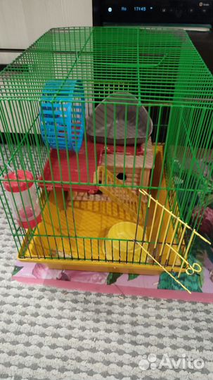 Клетка для сирийского хомяка