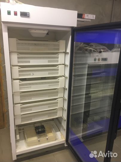 Инкубатор и выводной шкаф, можно отдельно