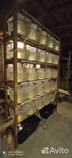 Мини ферма для разведения ракообразных