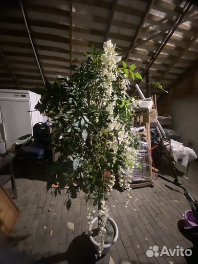 Искуственный цветок 230см