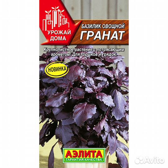 Базилик овощной Гранат