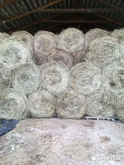 Сено с доставкой