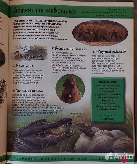 Детская энциклопедия