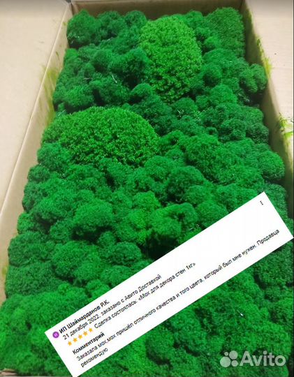 Стабилизированный мох ягель для интерьера